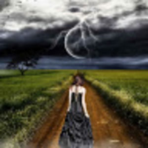 Meet your Posher, Tami